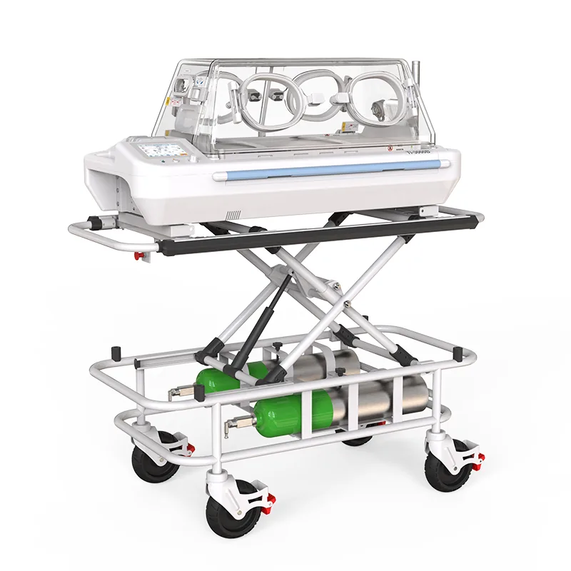 Incubadora de transporte David TI-3000B